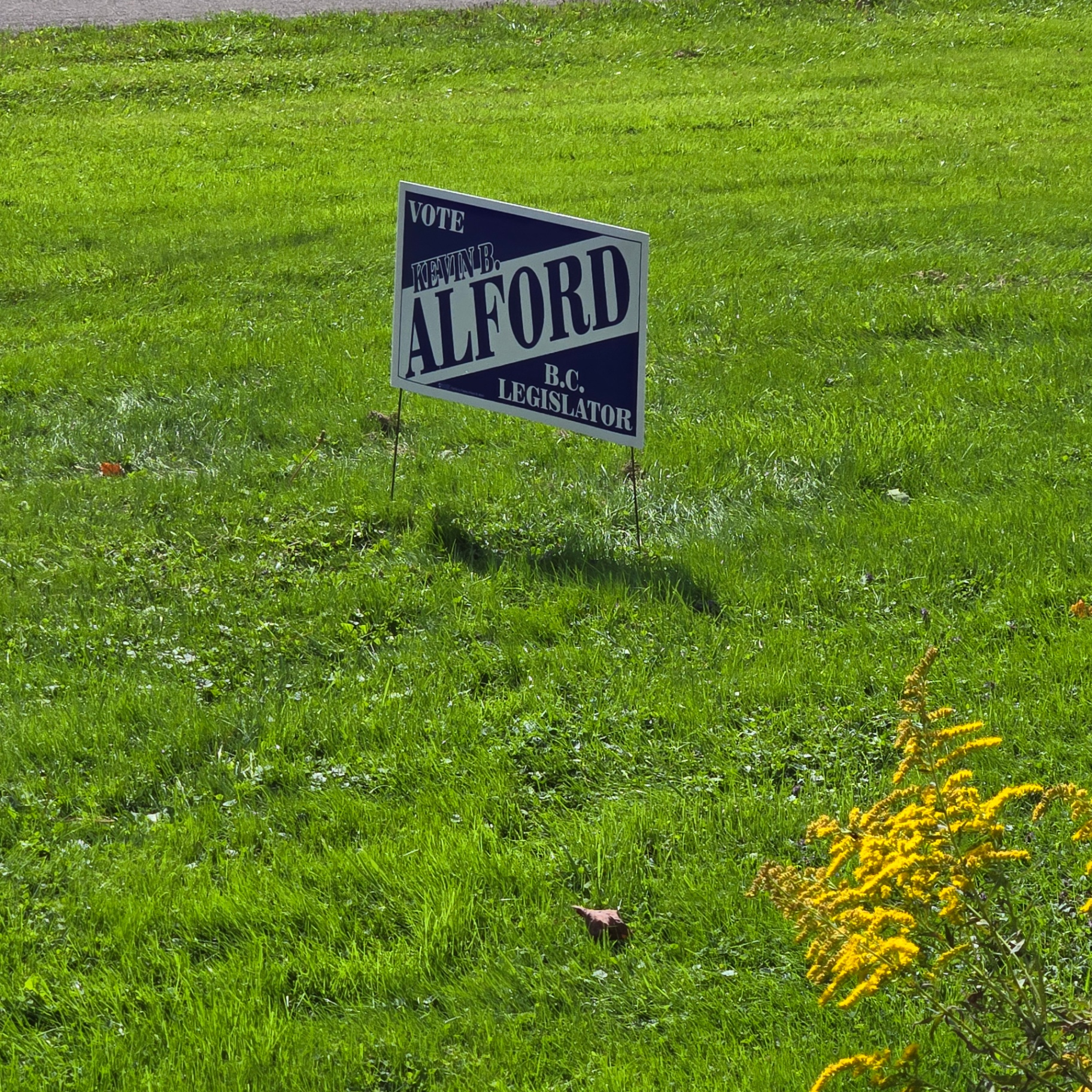 A Vote Kevin B. Alford yard sign on a lawn in Broome County